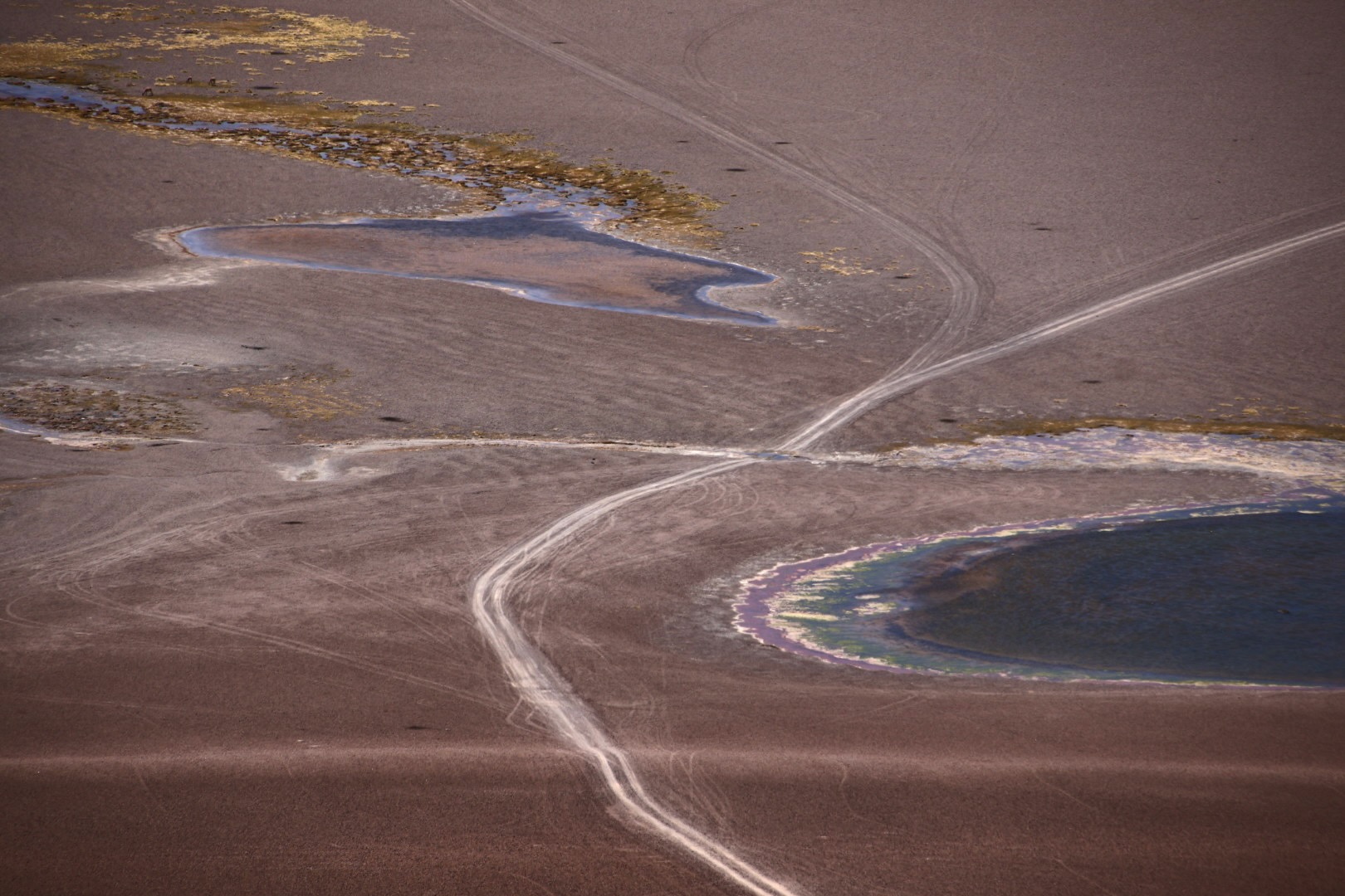 Puna Landscapes - Geometries and Cartographies
